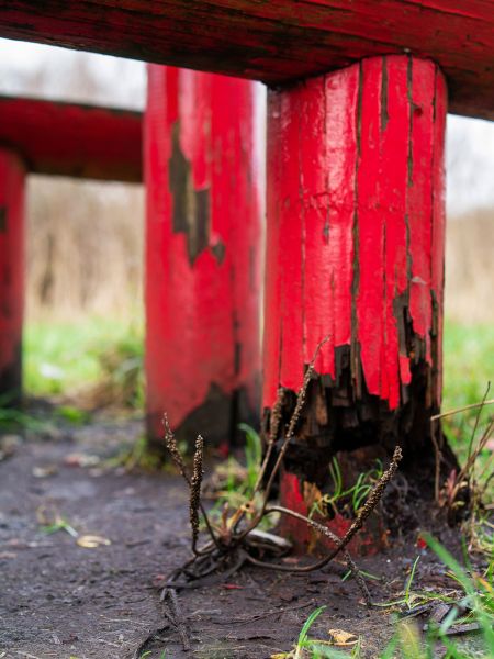 Cost of Rotten Column Replacement in Peyton